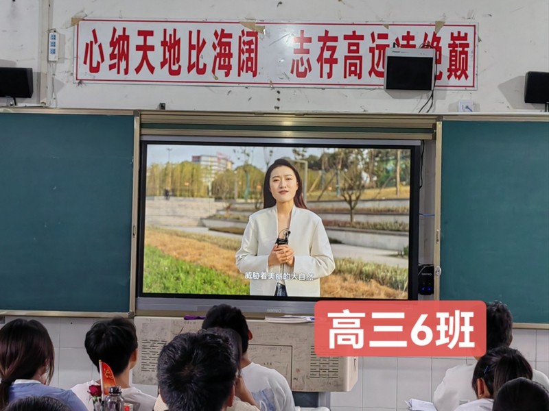 新05.jpg